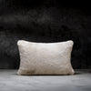 LUXOME Faux Fur Blanket and Pillow Bundle